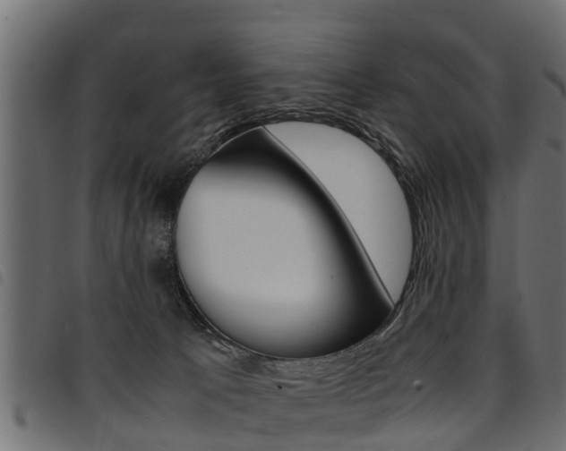 X0000094950033200711291115