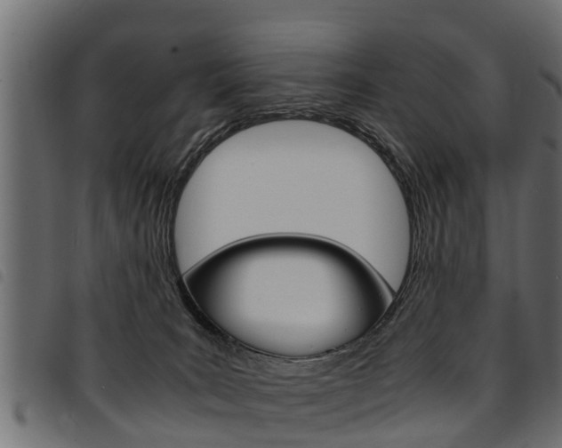 X0000094950035200711291115