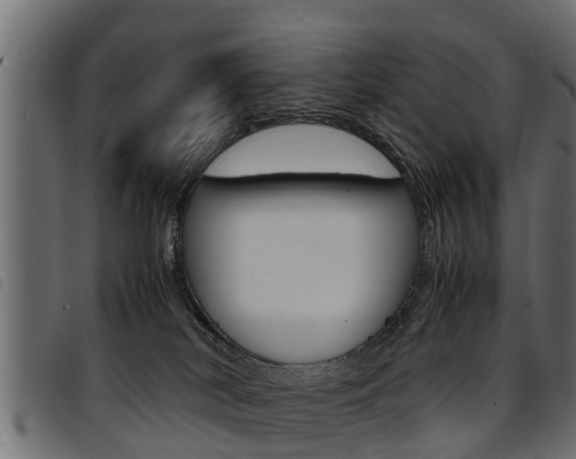 X0000094950038200711291115