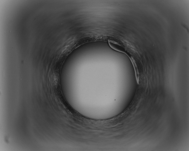 X0000094950039200711291115