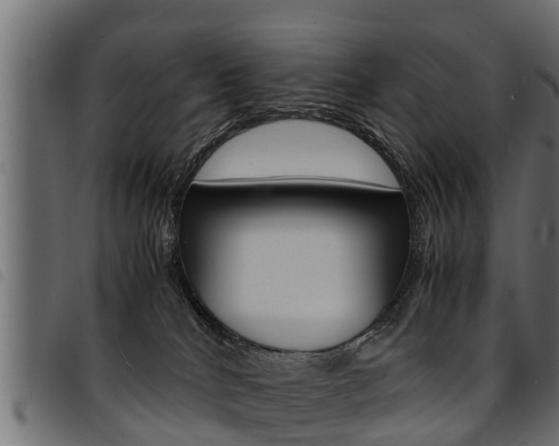 X0000094950040200711291115