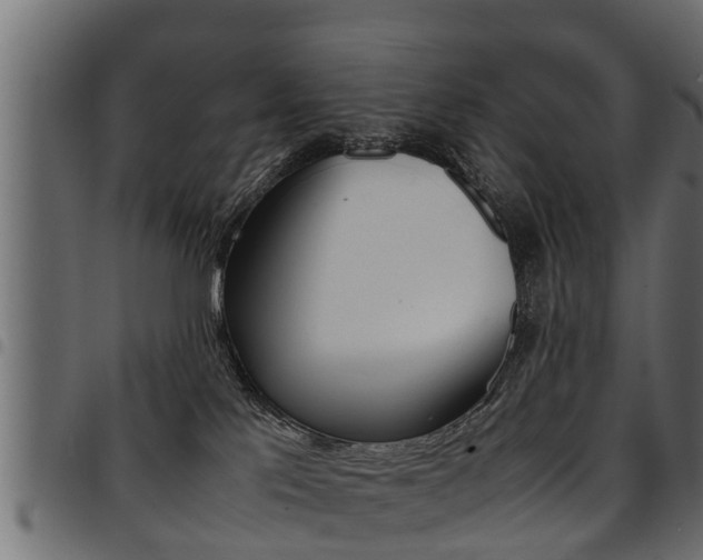 X0000094950041200711291115