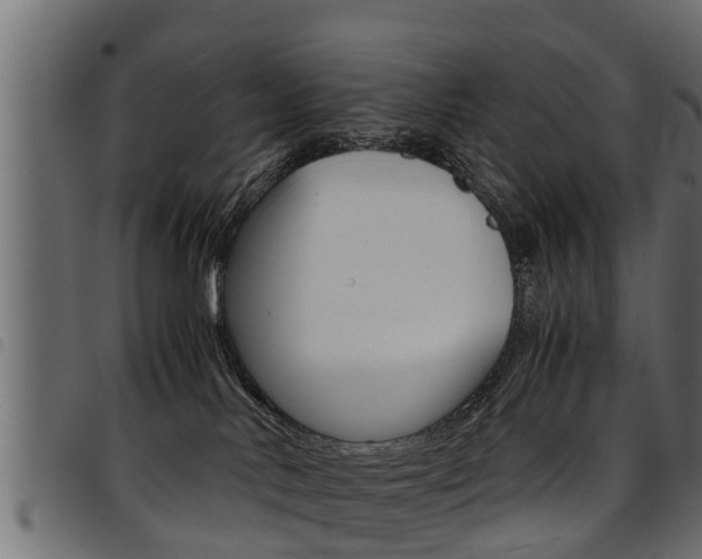 X0000094950042200711291115