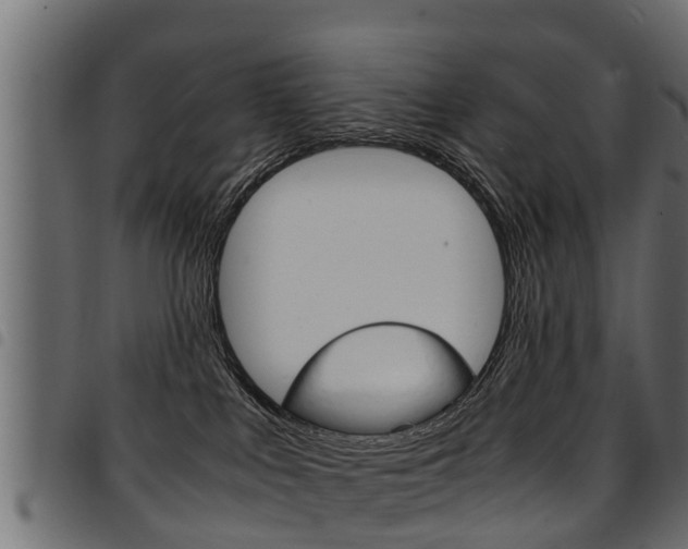 X0000094950043200711291115