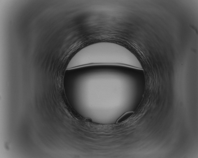 X0000094950044200711291115