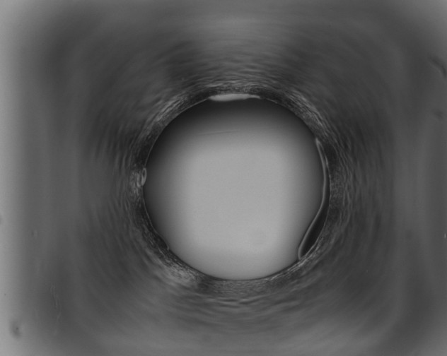 X0000094950045200711291115