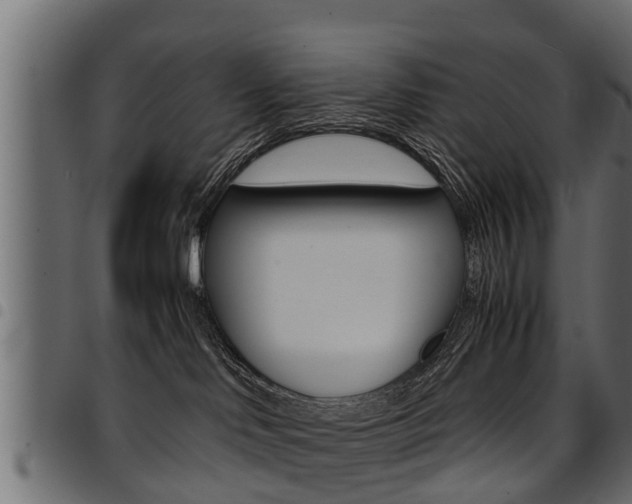 X0000094950046200711291115