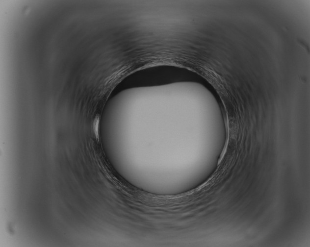 X0000094950047200711291115