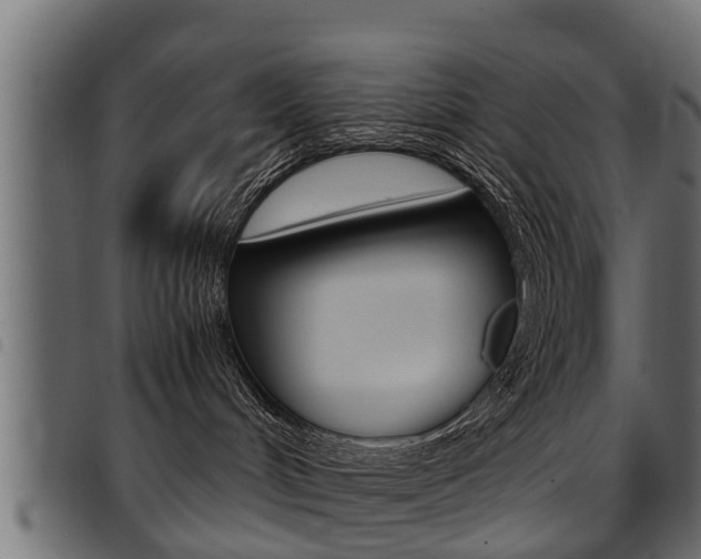 X0000094950048200711291115