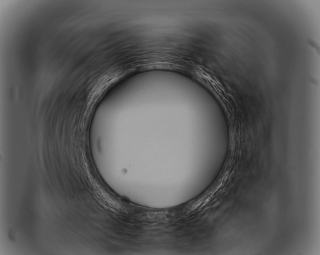 X0000094950049200711291114