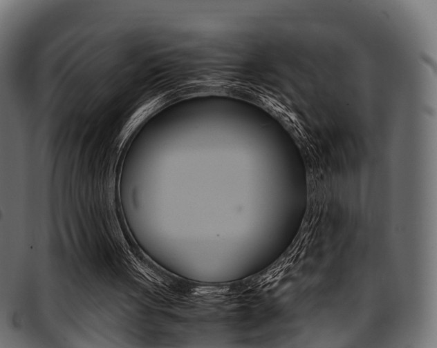 X0000094950051200711291114