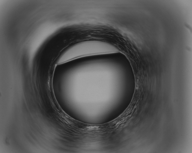 X0000094950052200711291114