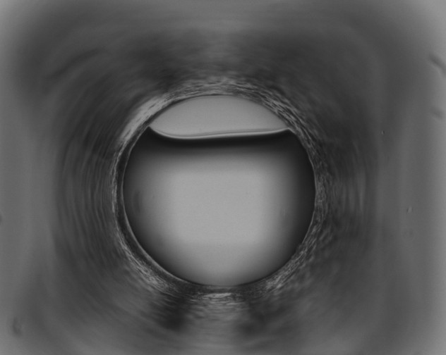 X0000094950054200711291114