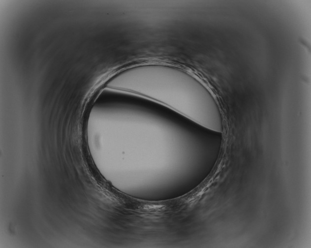 X0000094950055200711291114