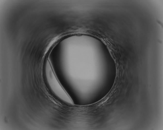 X0000094950056200711291114