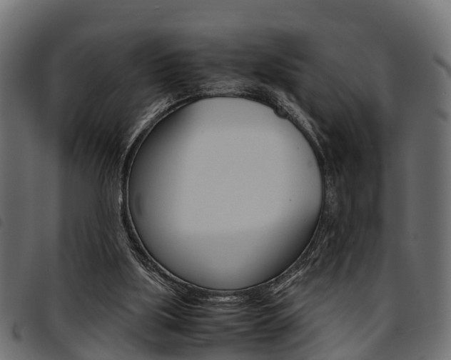X0000094950059200711291114
