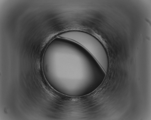 X0000094950060200711291114