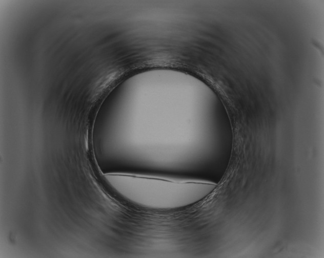 X0000094950062200711291114