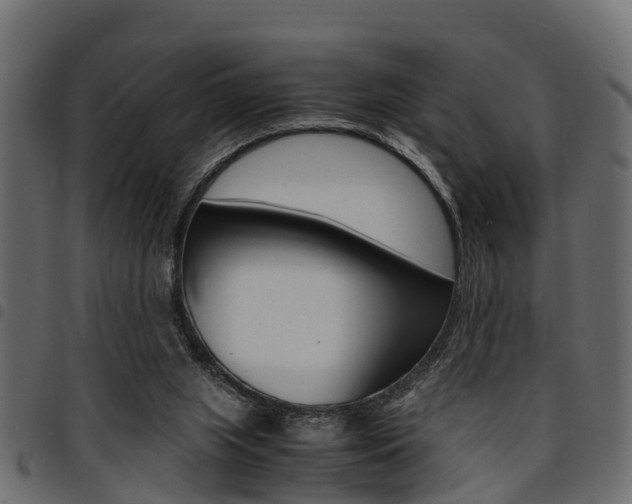 X0000094950063200711291114