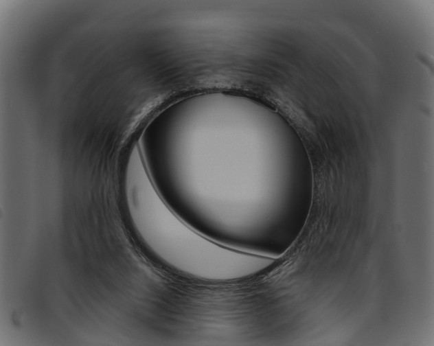 X0000094950064200711291114