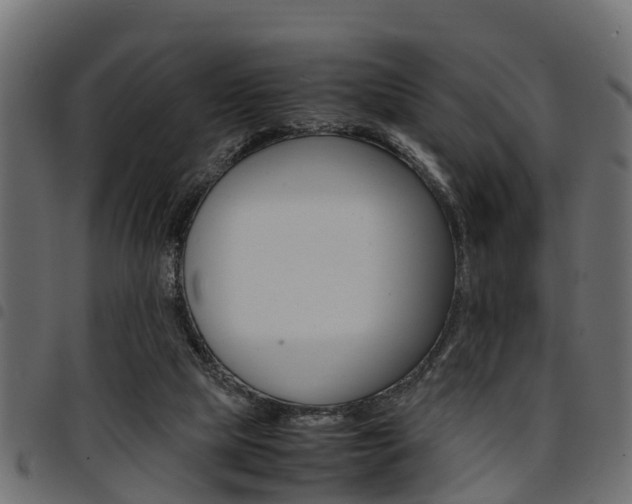 X0000094950065200711291114