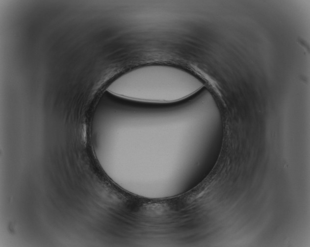 X0000094950067200711291114