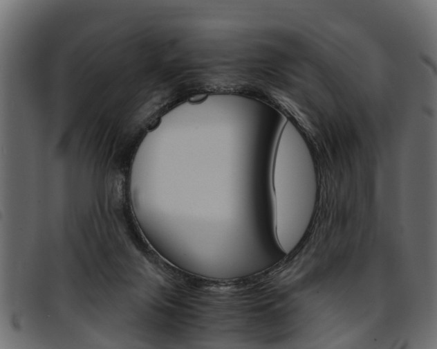 X0000094950071200711291115
