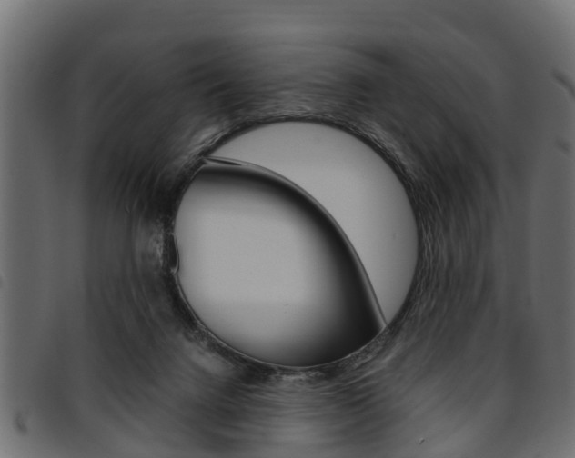 X0000094950072200711291115