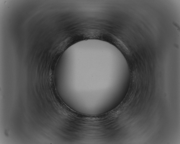 X0000094950073200711291115