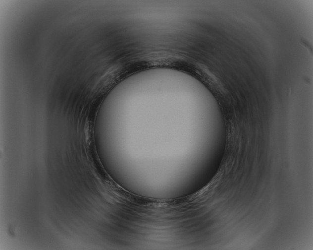X0000094950074200711291115