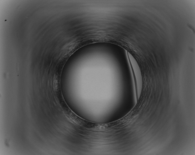 X0000094950080200711291115