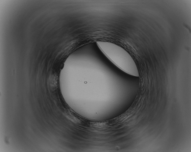 X0000094950081200711291115