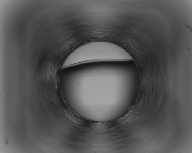 X0000094950082200711291115
