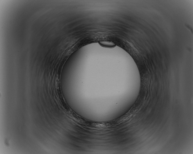 X0000094950083200711291115