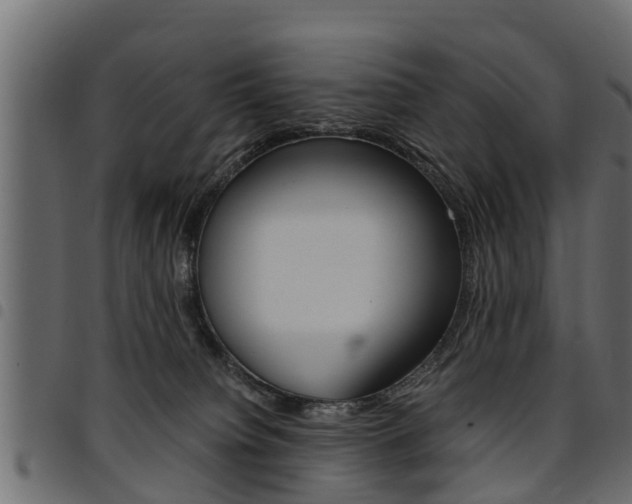 X0000094950084200711291115