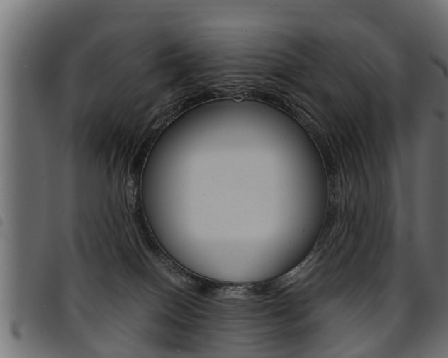 X0000094950086200711291115
