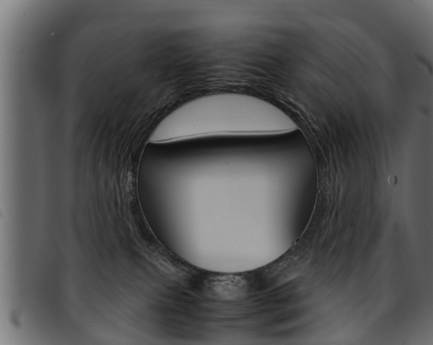 X0000094950087200711291115