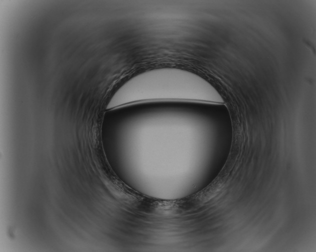 X0000094950088200711291115