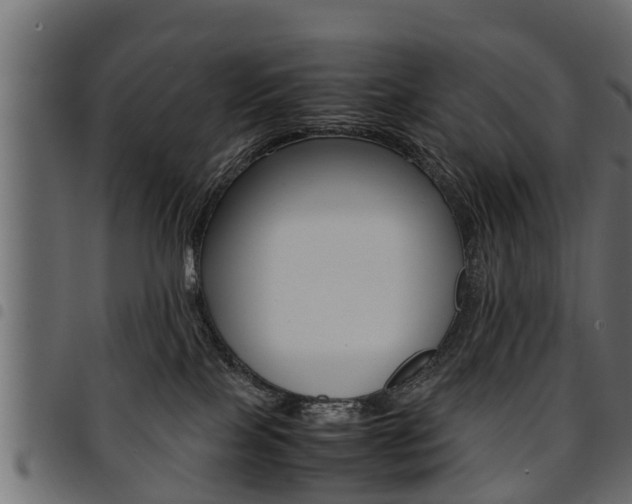 X0000094950089200711291115