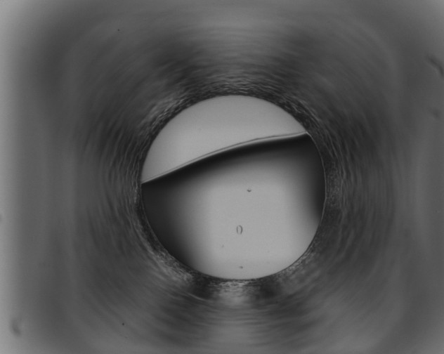 X0000094950090200711291115