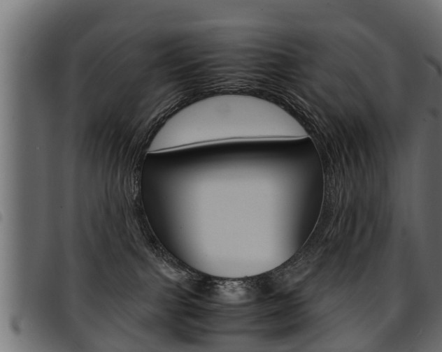 X0000094950091200711291115