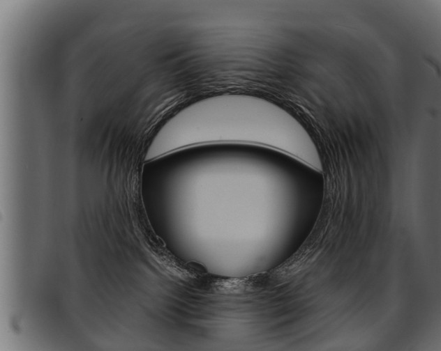 X0000094950092200711291115