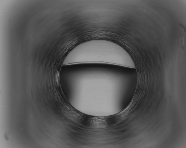 X0000094950094200711291115