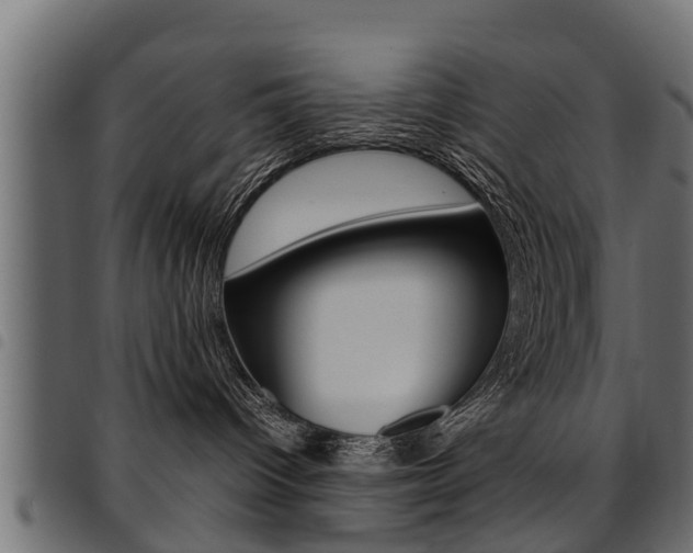X0000094950096200711291115