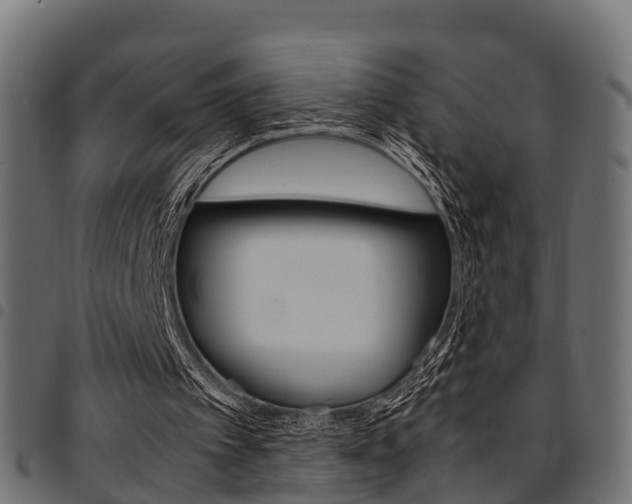 X0000094950097200711291114