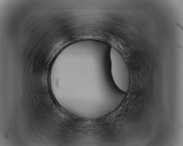 X0000094950098200711291114