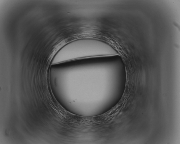 X0000094950099200711291114
