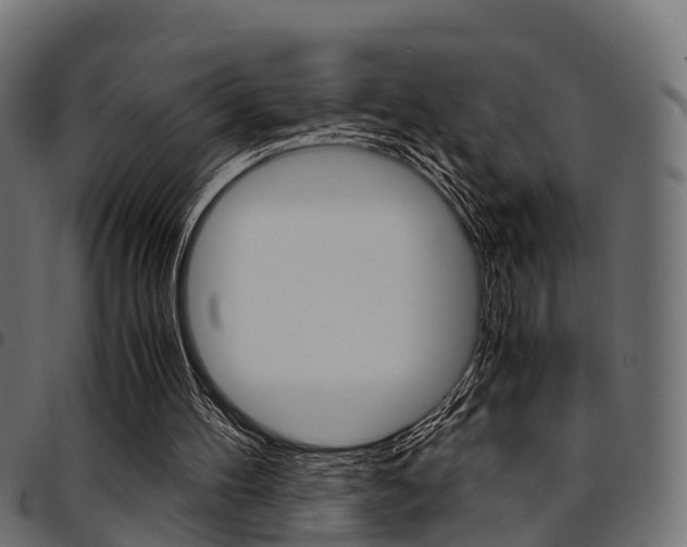 X0000094950100200711291114