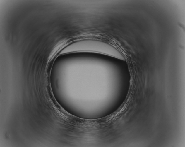 X0000094950101200711291114