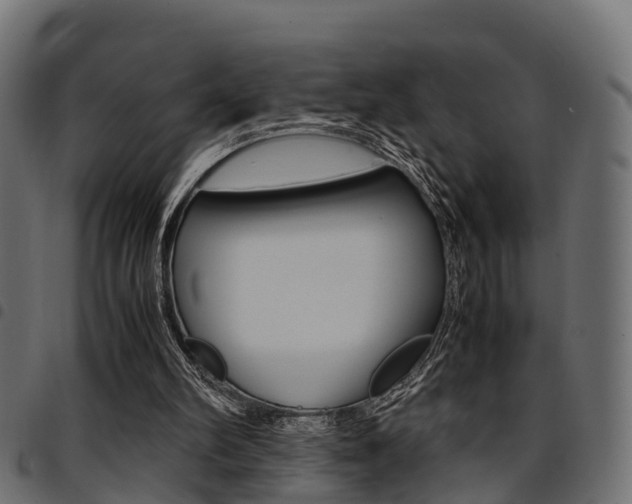 X0000094950102200711291114